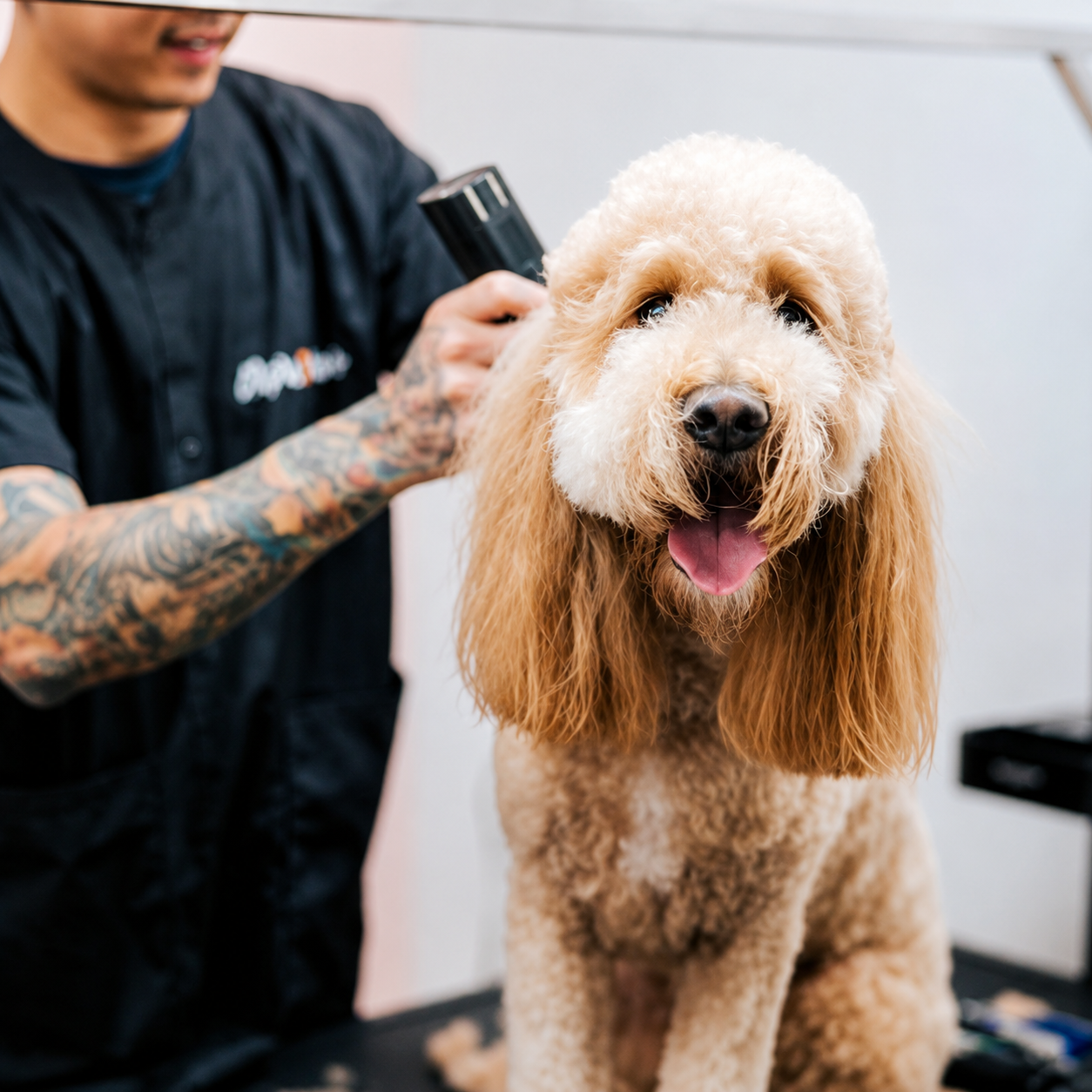 Pet Grooming